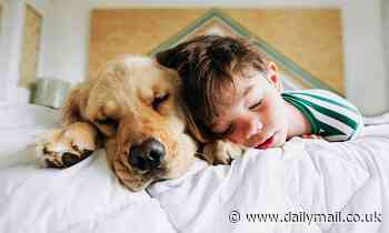 Kids get better quality sleep if they share bed with their pets, study suggests 