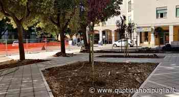 Lecce, la fontana del quartiere torna a splendere. Il sindaco: «Zampillerà entro... - quotidianodipuglia.it