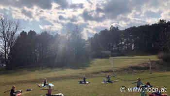 Öffnungsschritte - Die Vorfreude in Neunkirchen ist enorm - NÖN.at