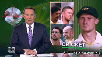 Cricket: Door open for Bancroft's Aussie return - Wide World of Sports