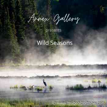 A Place for the Arts hosting nature photographer online - mybancroftnow.com