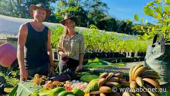 Christmas Island's only farm aims to solve food security issue