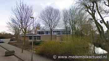 Gemeente zet kap 6 Essen Andijk door, essentaksterfte is in een te vergevorderde stadium - Medemblik Actueel