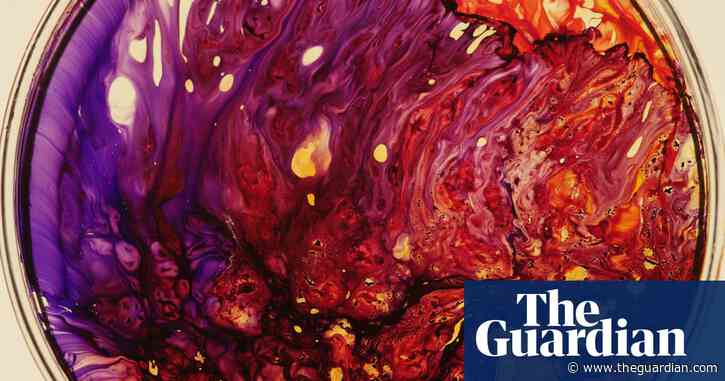 Phenomena: art meets science in spectacular and profound mini-documentary series