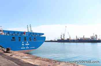 Porto de Imbituba registra alta de 13,8% na movimentação de cargas no primeiro trimestre do ano - Comex do Brasil