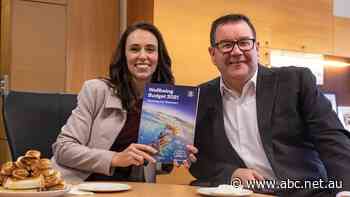 NZ reveals plan to tackle child poverty, housing affordability with 'wellbeing budget'