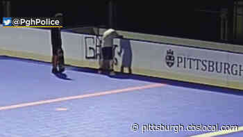 Pittsburgh Police Hoping To Identify Suspects That Tagged Dek Hockey Rink