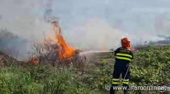 Sterpaglie in fiamme ad Ardea: incendio spento dopo 2 ore di intervento - Il Faro online
