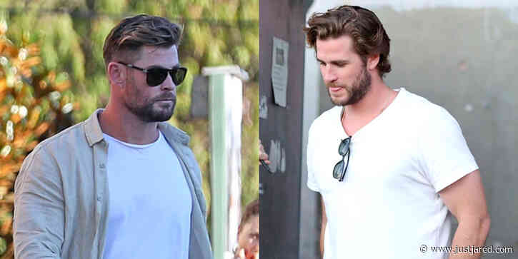Brothers Chris & Liam Hemsworth Almost Twin While Out To Dinner Together in Sydney