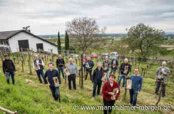 Patenschaft für Reben - Mannheimer Morgen