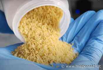Dagli zuccheri alla bioplastica: la scoperta dell'assessore ricercatore di Samarate - MALPENSA24 - malpensa24.it