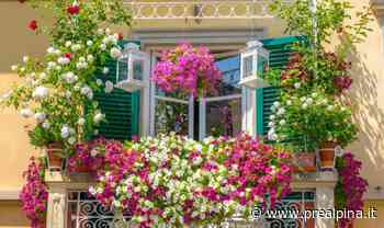 Samarate, una mamma sul balcone - La Prealpina