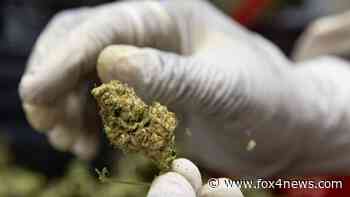 Texas bill could expand state's medical marijuana program - FOX 4 Dallas