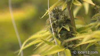 3 existing conditions approved for Ohio medical marijuana - WKRC TV Cincinnati