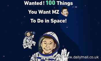 Japanese billionaire wants silly ideas to try out while on the space station