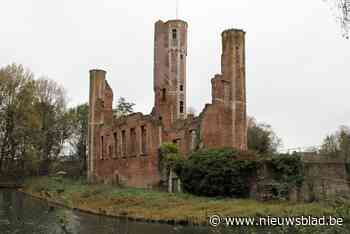 Architecten bereiden de restauratie van kasteelruïne Ter Elst voor