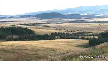 Why are COVID-19 vaccine rates lower in some parts of rural Alberta?