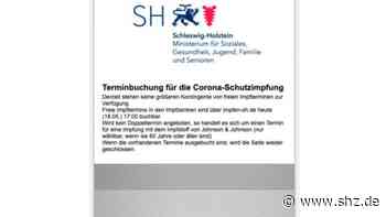 Kreis Pinneberg in Kürze: Weiterer Fall der indischen Virusvariante +++ Tornesch: Straße wird nicht umbenannt +++ 75.000 Impftermine am Donnerstag | shz.de - shz.de