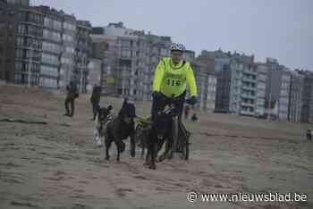 Vijf honden eten van gifballetjes, baasje moet Aquina laten inslapen: “Wie zoiets doet, is echt een onmens” <BR />