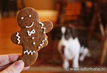 Prepare your marketing strategy for a cookie-less future