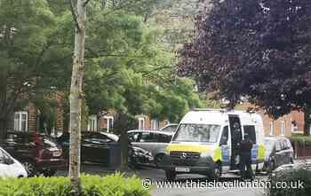 Three arrests following Pollards Hill drug raid