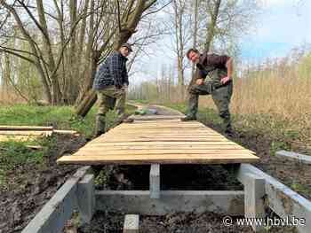 Vlonderpad in de Molenbeemd van Membruggen volledig vernieu... (Riemst) - Het Belang van Limburg Mobile - Het Belang van Limburg