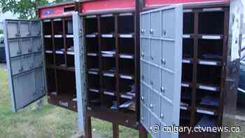 Calgary cops ring twice at home of woman suspected in mailbox thefts, vehicle break-ins - CTV Toronto
