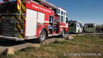 Fight at Calgary dog park escalates to man being stabbed - CTV Toronto