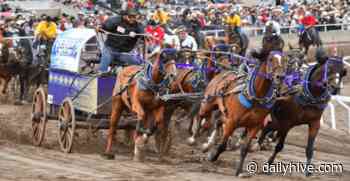Calgary Stampede plans underway but it won't be your typical event | News - Daily Hive