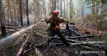 A look at Alberta’s wildfire season so far and what the risk is right now