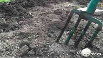 Gardening experts dish the dirt on when to plant, what to plant and controlling the undesirables