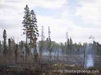 Fire north of Prince Albert contained, some evacuees expected home Thursday night