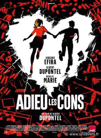 ADIEU LES CONS Cinéma Le Dunois Beaugency mercredi 19 mai 2021 - Unidivers