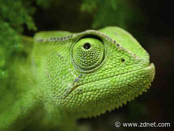 SUSE bridges the gap between openSUSE Leap and SUSE Linux Enterprise