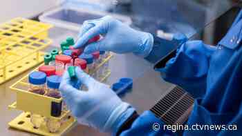 146 new COVID-19 cases in Sask.; no new deaths