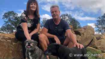 Town that turned Queensland's fortunes around experiences a different kind of rush