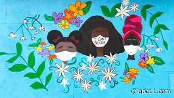 'Raleigh Murals' book highlights city's social justice creations while giving back to community