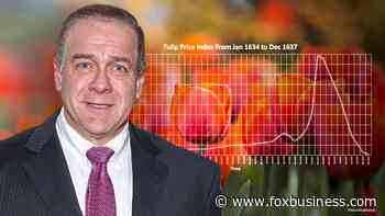 Investment guru Scott Minerd compares crypto to Tulipmania - Fox Business