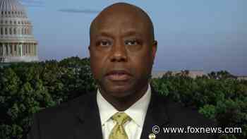 Sen. Tim Scott: S.1 is not a voting rights bill, it's a partisan power grab that will harm faith in elections - Fox News