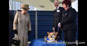 Queen Elizabeth Said to Be 'Devastated' by Death of Puppy Given to Her During Prince Philip's Final Days