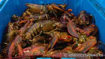 Prince Edward Island organization says give up smoking and grab some lobster - CTV News Atlantic