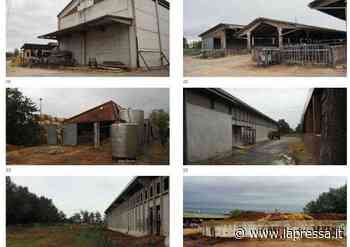 Modena, ampliamento Hombre: l'assessore Vandelli difende il progetto - La Pressa