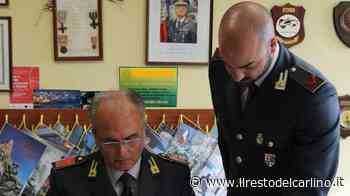 Modena, reddito di cittadinanza a condannati o ai domiciliari, sei denunce - il Resto del Carlino