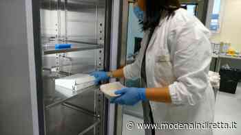 Frigo rotto, l'Ausl di Modena salva migliaia di dosi di vaccino. VIDEO - modenaindiretta.it