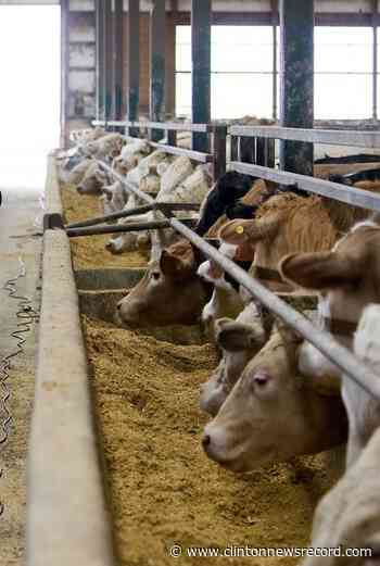 Beef farmers protest loss of Ontario farmland - Clinton News Record