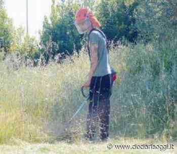 Obbligo del taglio erba su aree private, previste sanzioni per i trasgressori - ciociariaoggi.it