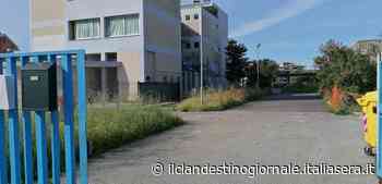 Erba alta nella zona cantiere alla scuola Sacchi, la segnalazione dei genitori - Il Clandestino Giornale