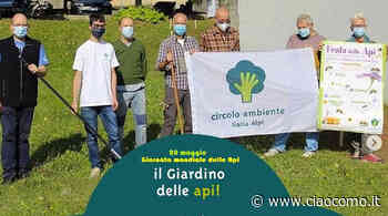 Giornata mondiale delle api: si semina al “Giardino delle Api” di Erba - CiaoComo.it