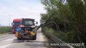 San Giovanni, cura verde e taglio erba: se ne occuperà una ditta specializzata - ciociariaoggi.it