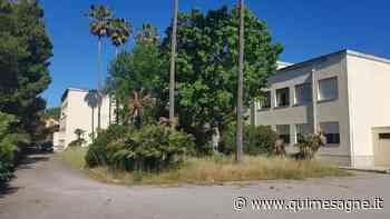 UFFICIO RECLAMI – Sfalciate l’erba nella scuola elementare - Qui Mesagne